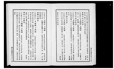 [下载][胪膛杨氏宗谱_3卷]浙江.胪膛杨氏家谱_二.pdf