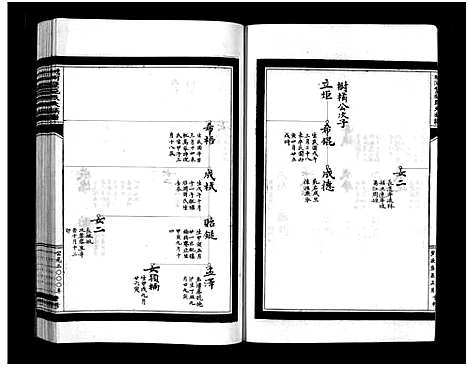 [下载][蟾河施氏大族谱_按房分册]浙江.蟾河施氏大家谱_三.pdf