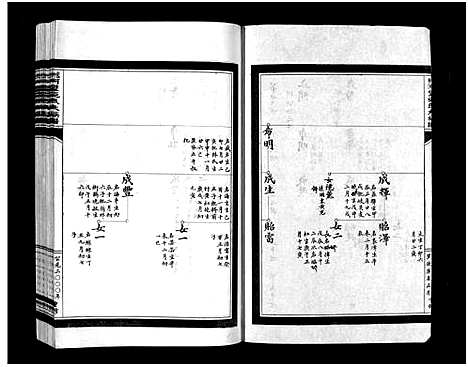 [下载][蟾河施氏大族谱_按房分册]浙江.蟾河施氏大家谱_五.pdf