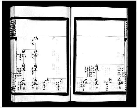 [下载][蟾河施氏大族谱_按房分册]浙江.蟾河施氏大家谱_八.pdf