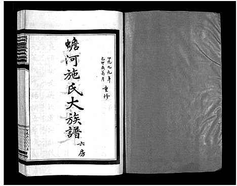 [下载][蟾河施氏大族谱_按房分册]浙江.蟾河施氏大家谱_十六.pdf