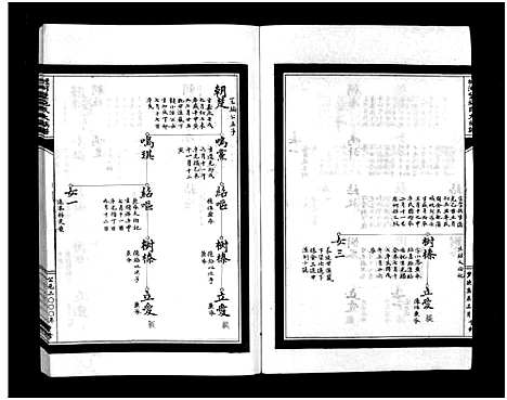 [下载][蟾河施氏大族谱_按房分册]浙江.蟾河施氏大家谱_十七.pdf