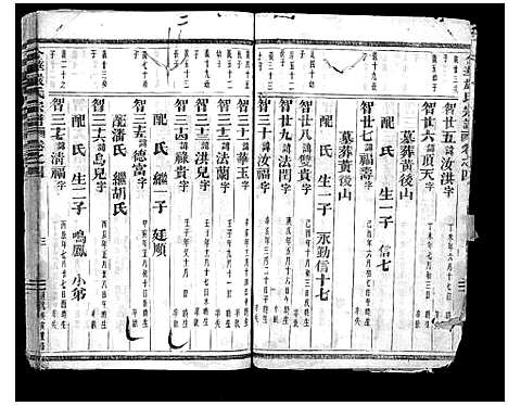 [下载][金华严氏宗谱_4卷]浙江.金华严氏家谱_四.pdf