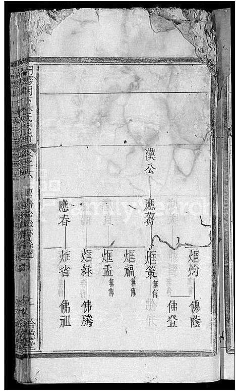 [下载][开阳阙下林氏宗谱_9卷首1卷]浙江.开阳阙下林氏家谱_四.pdf