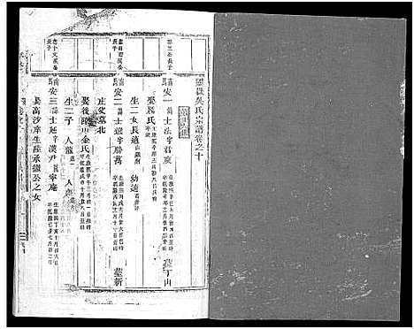 [下载][灵岳吴氏家乘_17卷]浙江.灵岳吴氏家乘_十三.pdf