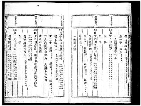 [下载][灵岳吴氏家乘_17卷]浙江.灵岳吴氏家乘_十六.pdf