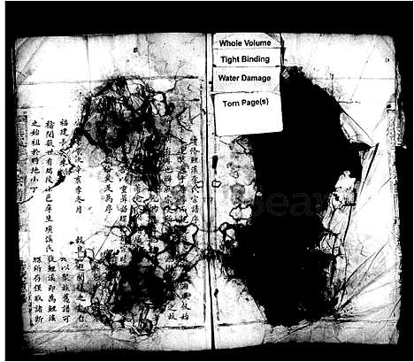 [下载][鲤溪李氏宗谱]浙江.鲤溪李氏家谱.pdf